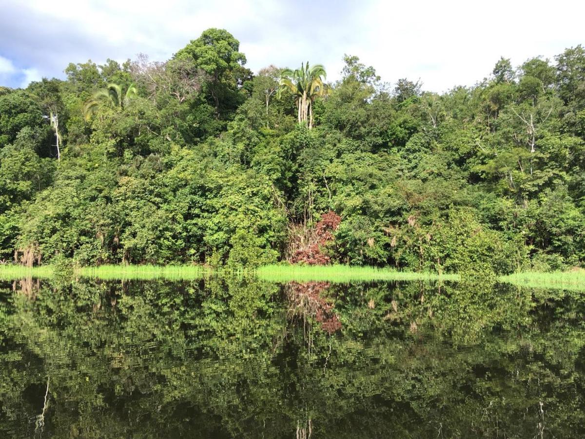 Amazon Arowana Lodge Careiro Bagian luar foto