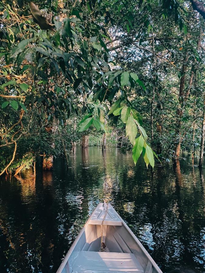 Amazon Arowana Lodge Careiro Bagian luar foto