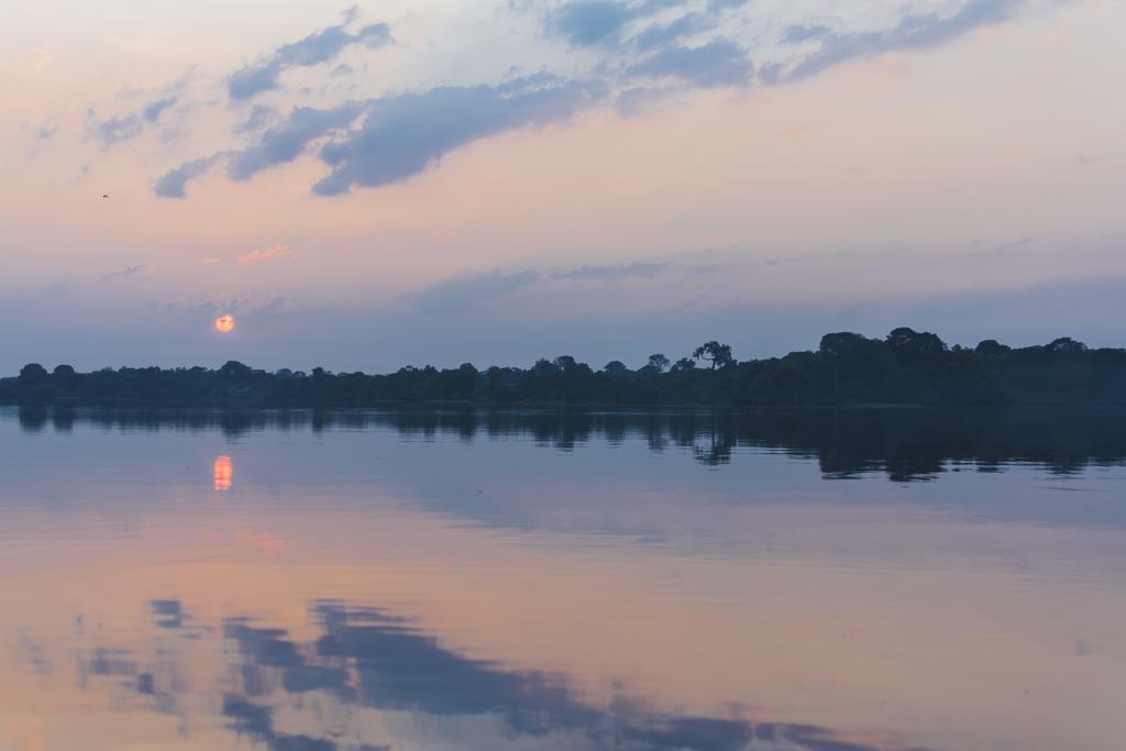 Amazon Arowana Lodge Careiro Bagian luar foto