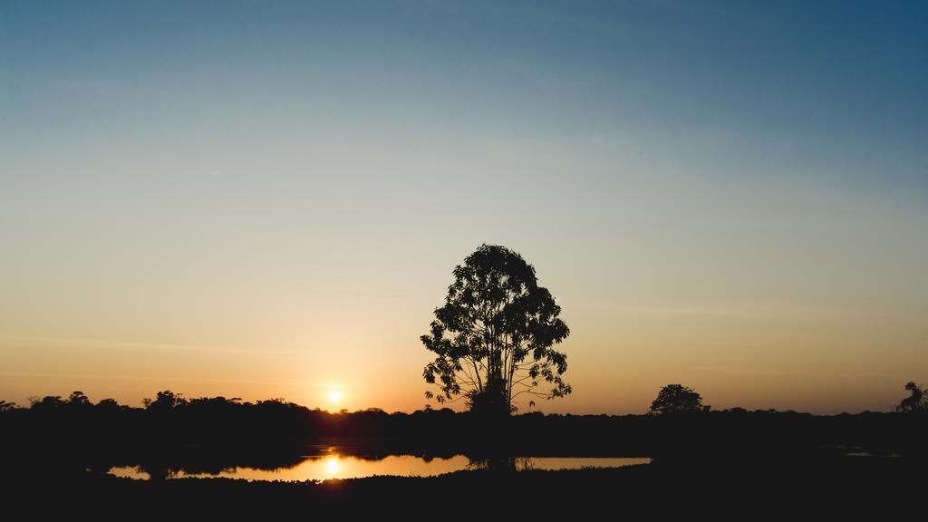 Amazon Arowana Lodge Careiro Bagian luar foto