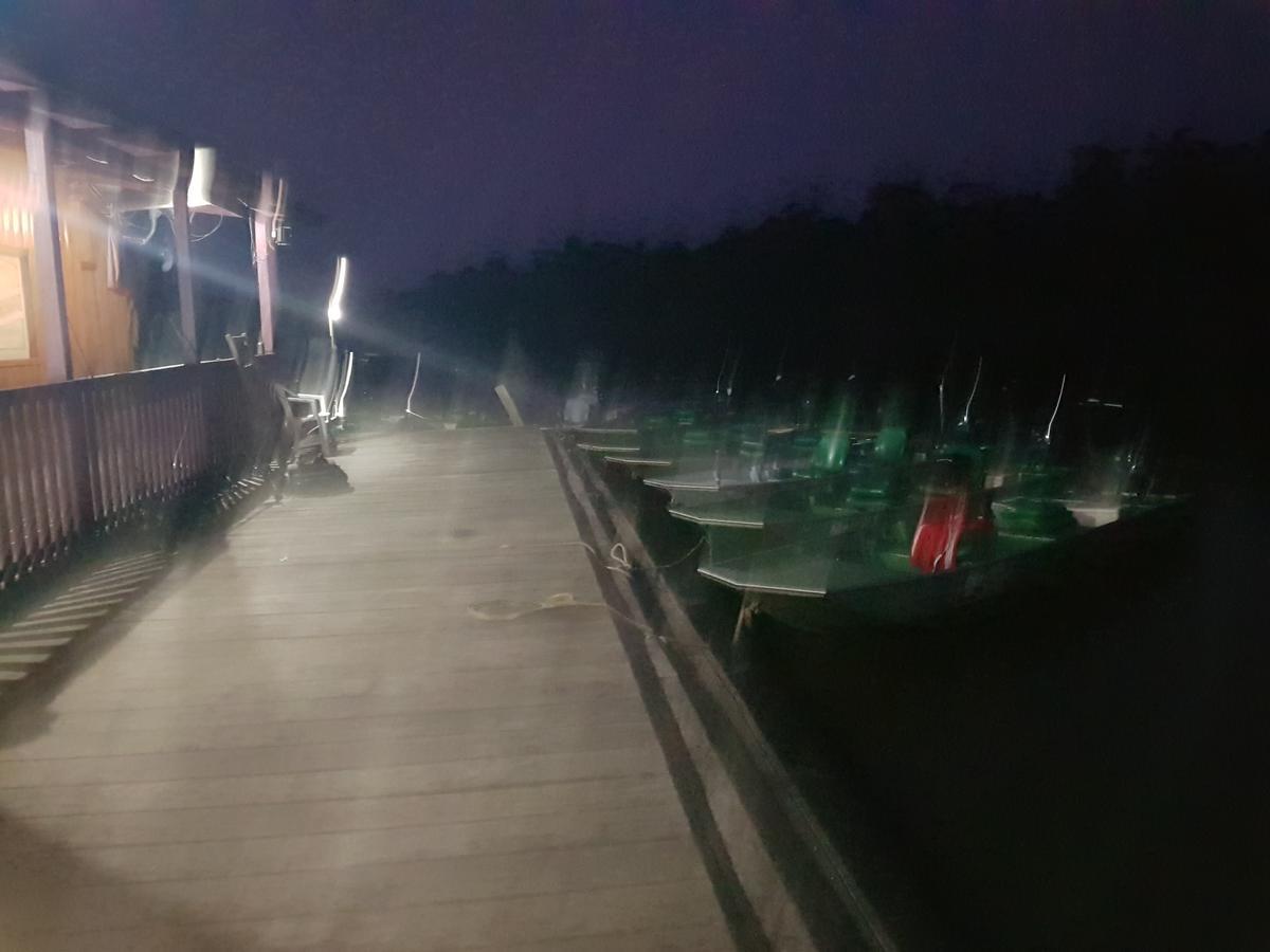 Amazon Arowana Lodge Careiro Bagian luar foto
